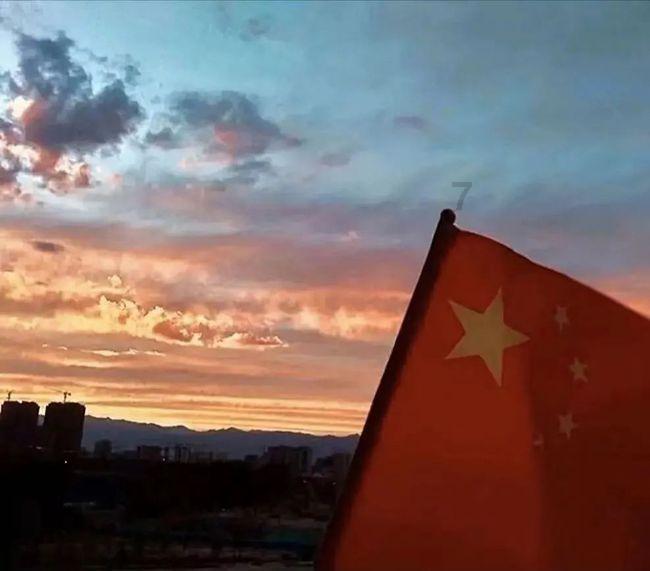 逃离壳牌岛